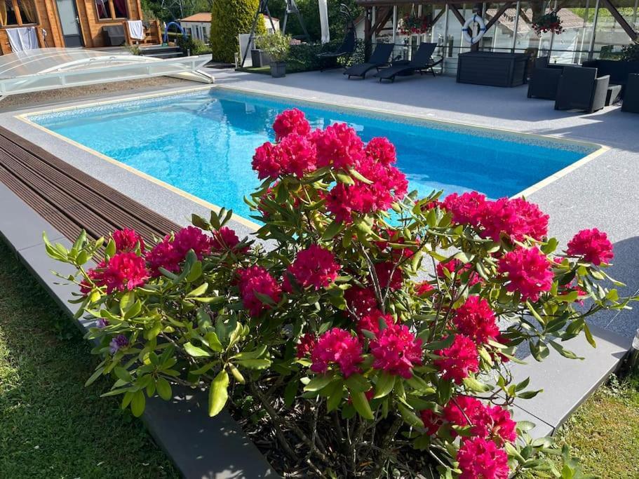 Chalet 2 Personnes Avec Jacuzzi Et Piscine Saisonniere Partagee Corcieux Exteriör bild